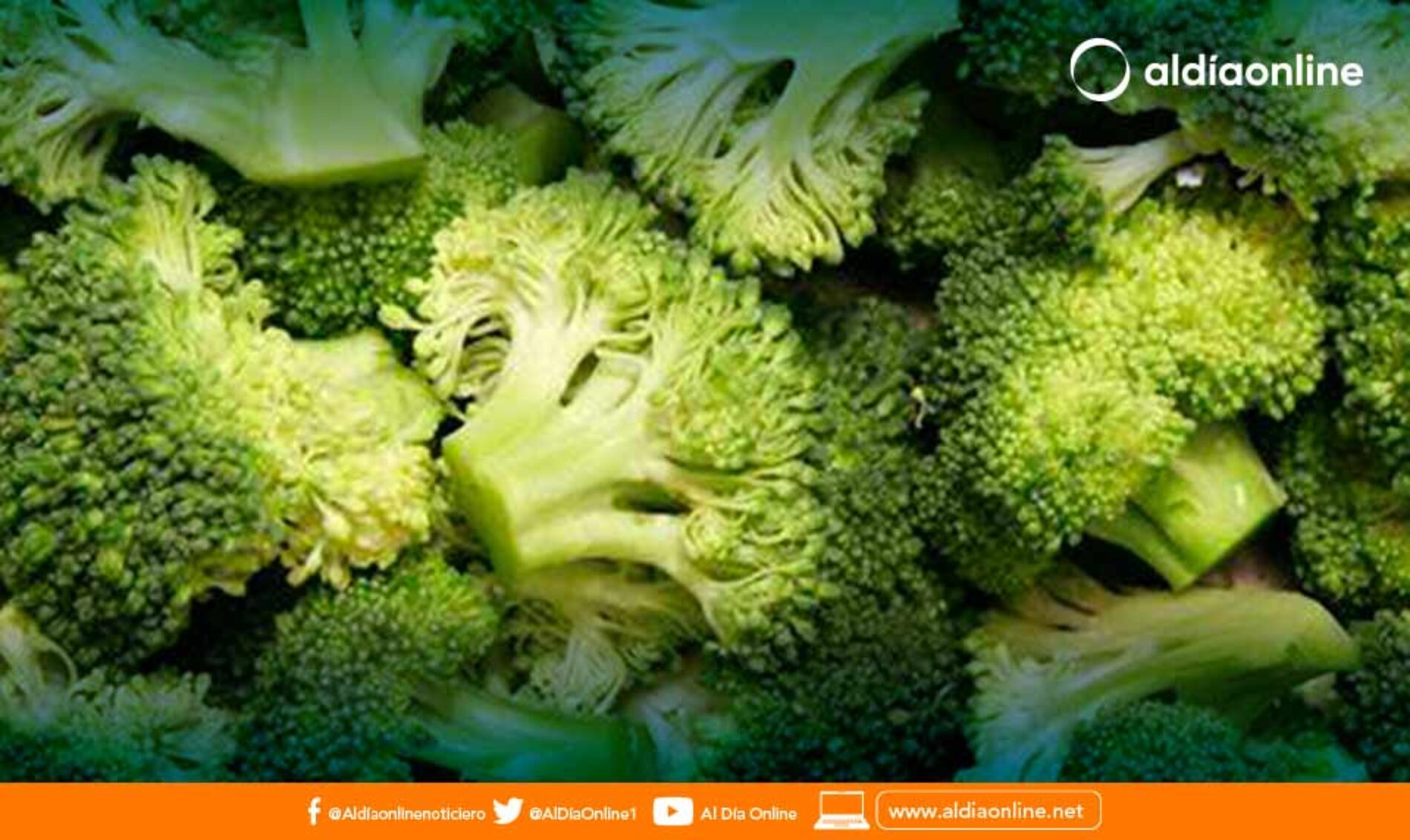 ¿ES SALUDABLE COMER BRÓCOLI CUANDO ESTÁ AMARILLO?