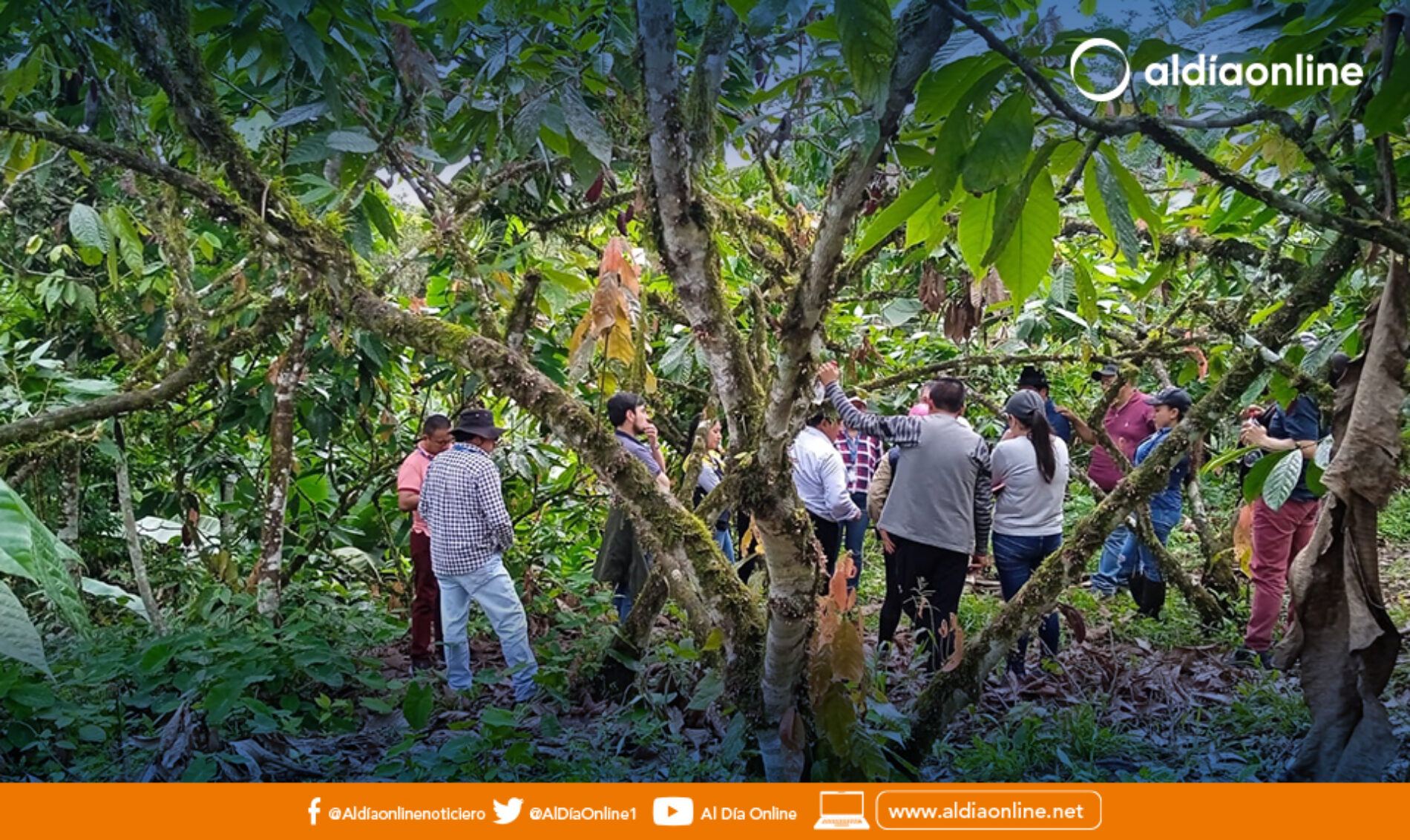 “PLANTA RECTIFICADORA DE ALCOHOL ARTESANAL EN PANGUA” CON UN 60% DE AVANCE DEL PROYECTO