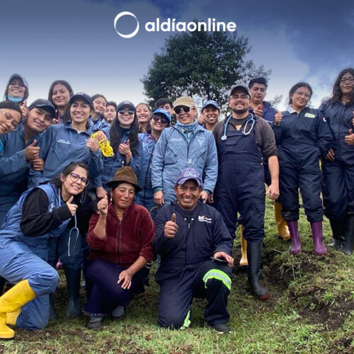 300 OVINOS RECIBEN ATENCIÓN PREVENTIVA EN COCHAPAMBA, COTOPAXI