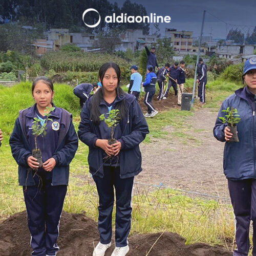 UNIDAD EDUCATIVA FAE No 5 PARTICIPÒ DEL PROYECTO LULÚ REFORESTA COTOPAXI