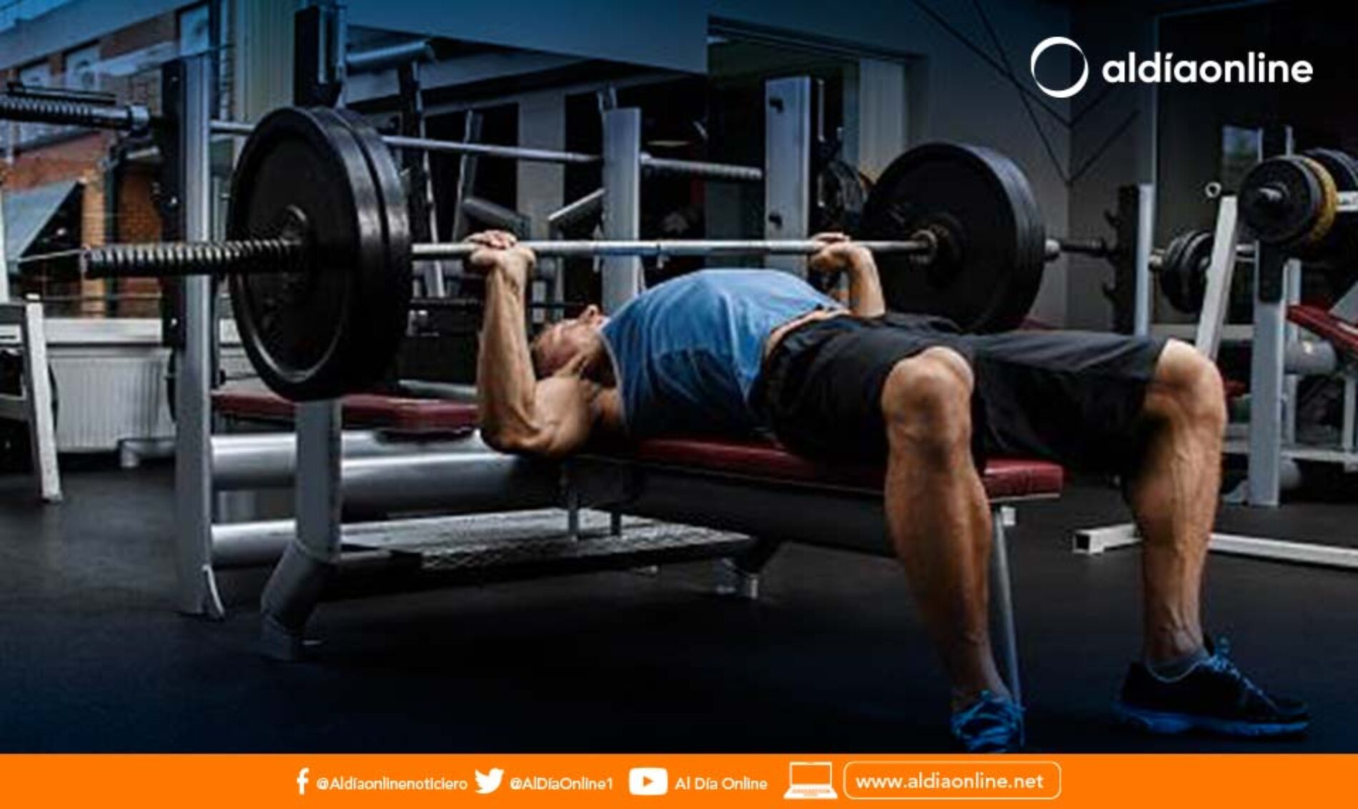 LOS MEJORES EJERCICIOS PARA FORTALECER TUS BRAZOS Y HOMBROS