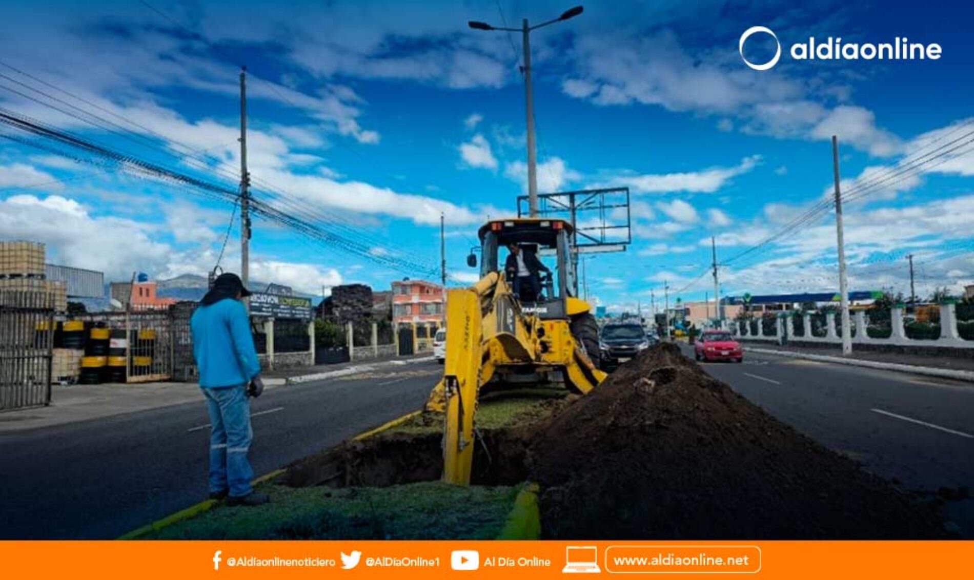 23 PALMAS SERÁN SEMBRADAS EN LA AVENIDA VELASCO IBARRA DE SALCEDO