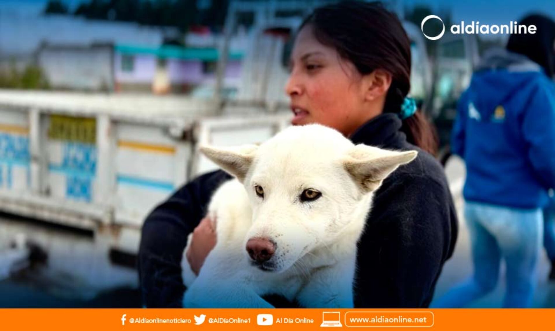MUNICIPIO DE LATACUNGA ESTERILIZÓ Y DESPARASITÓ A MÁS DE 4100 MASCOTAS