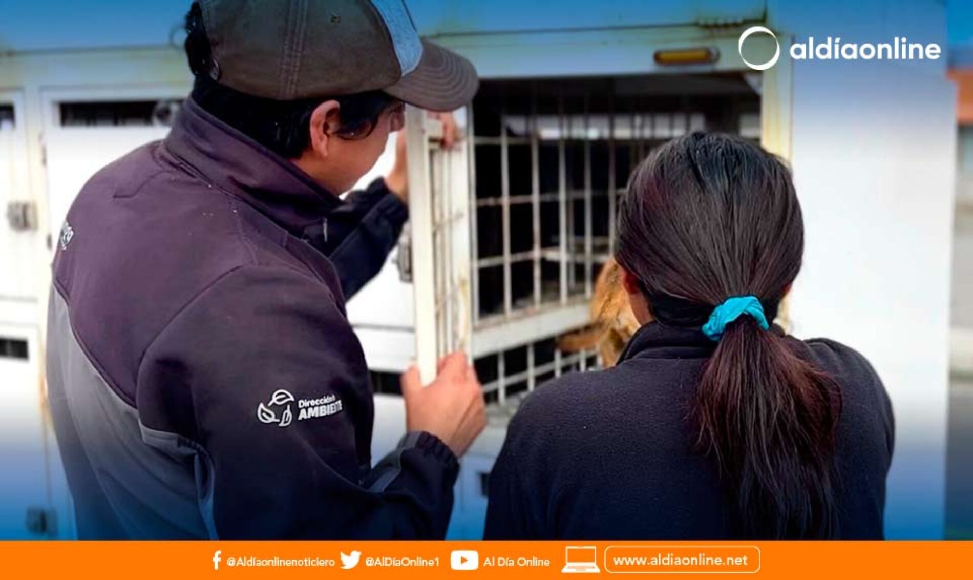 MUNICIPIO DE LATACUNGA ESTERILIZÓ Y DESPARASITÓ A MÁS DE 4100 MASCOTAS