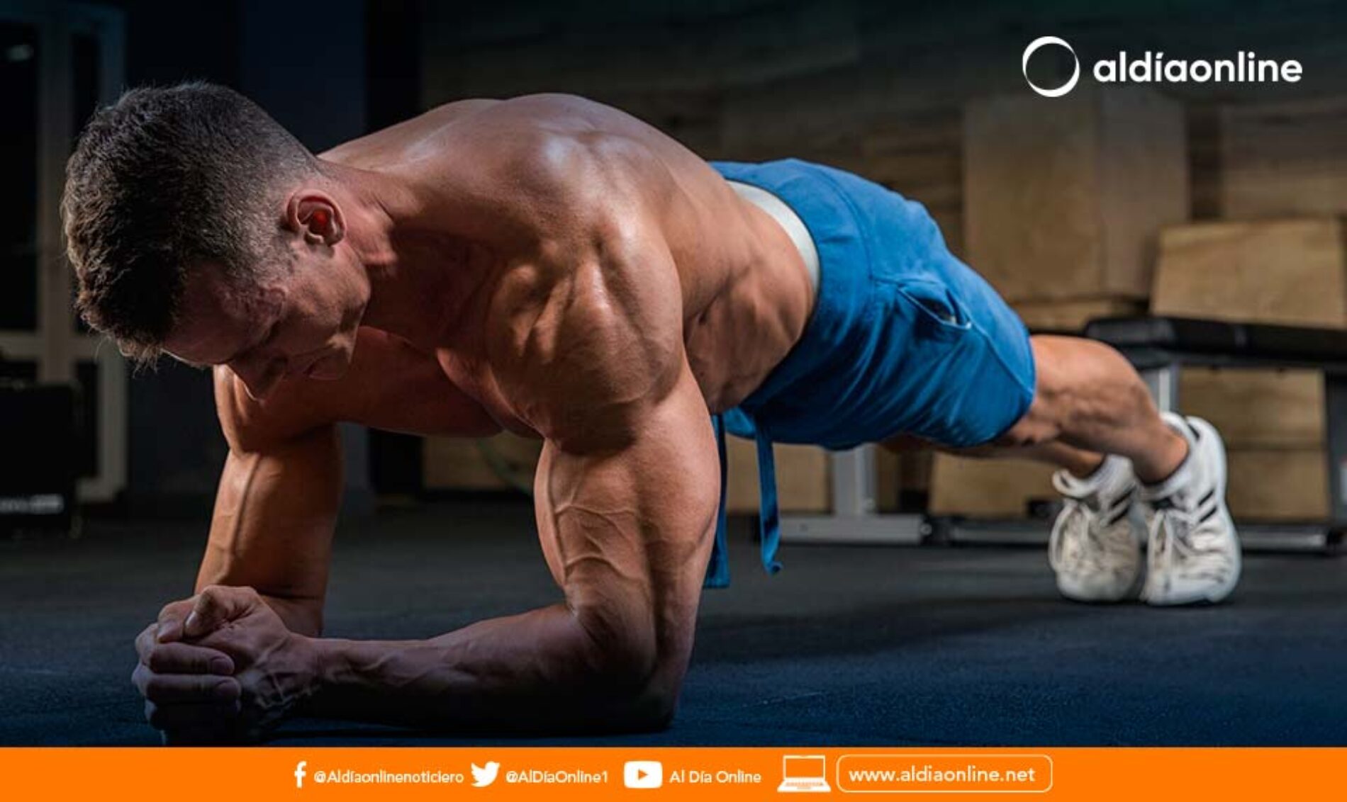 LOS MEJORES EJERCICIOS PARA FORTALECER TUS BRAZOS Y HOMBROS