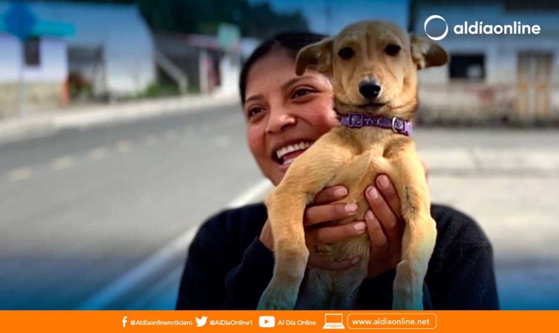 MUNICIPIO DE LATACUNGA ESTERILIZÓ Y DESPARASITÓ A MÁS DE 4100 MASCOTAS