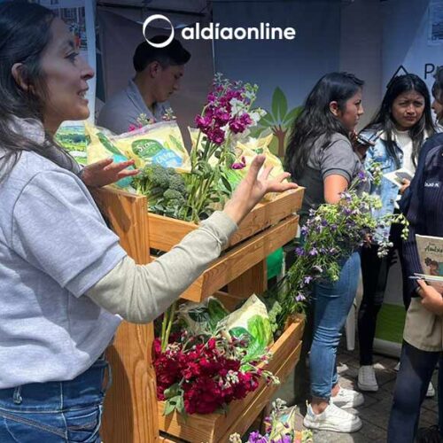 PATRONATO PROVINCIAL PARTICIPÓ DE LA FERIA “COTOPAXI EN DEFENSA DE LA PACHA MAMA”