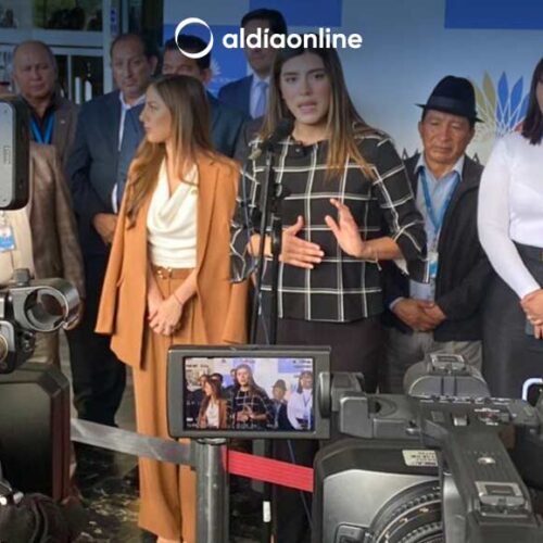 EL OFICIALISMO PROPONE UNA COMISIÓN QUE INVESTIGUE DECLARACIONES DE RAFAEL CORREA CONTRA ECUADOR