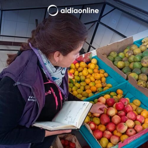 2990 LIBADORES RETIRADOS EN OPERATIVOS REALIZADOS EN COTOPAXI