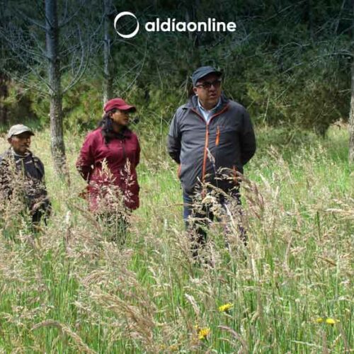 AGLOMERADOS COTOPAXI IMPULSA EL DESARROLLO DE LA PROVINCIA GRACIAS A INICIATIVAS COMUNITARIAS EN MACALÓ GRANDE (MULALÓ)