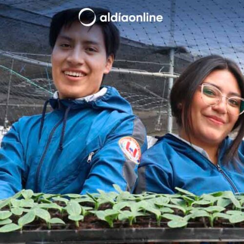 LA UNIVERSIDAD TÉCNICA DE COTOPAXI OFERTA NUEVAS MAESTRÍAS PARA LA  PRODUCCIÓN AGRÍCOLA