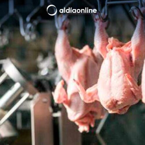 COMISIÓN DE BIODIVERSIDAD PRESENTARÁN INFORME QUE JUSTIFICA EXHIBICIÓN DE ANIMALES FAENADOS O COCINADOS