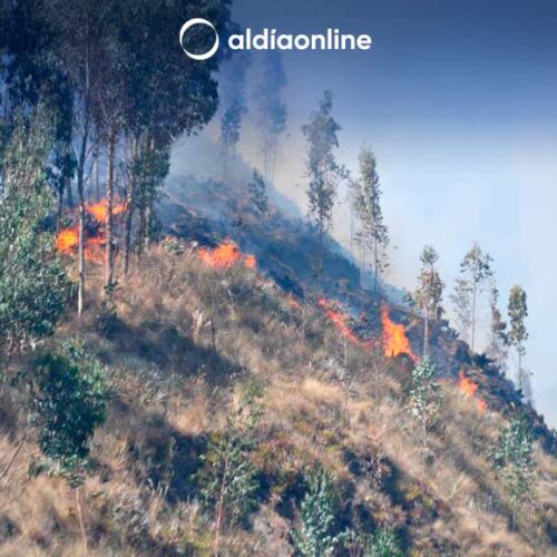 EL MAATE IMPLEMENTA CINCO EJES DE ACCIÓN PARA PREVENIR LOS INCENDIOS FORESTALES EN EL PAÍS
