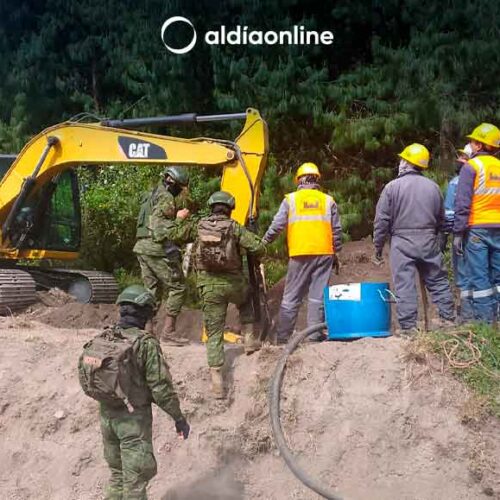 FUERZAS ARMADAS EVITAN LA SUSTRACCIÓN ILEGAL DE RECURSOS NATURALES ESTRATÉGICOS DEL ESTADO