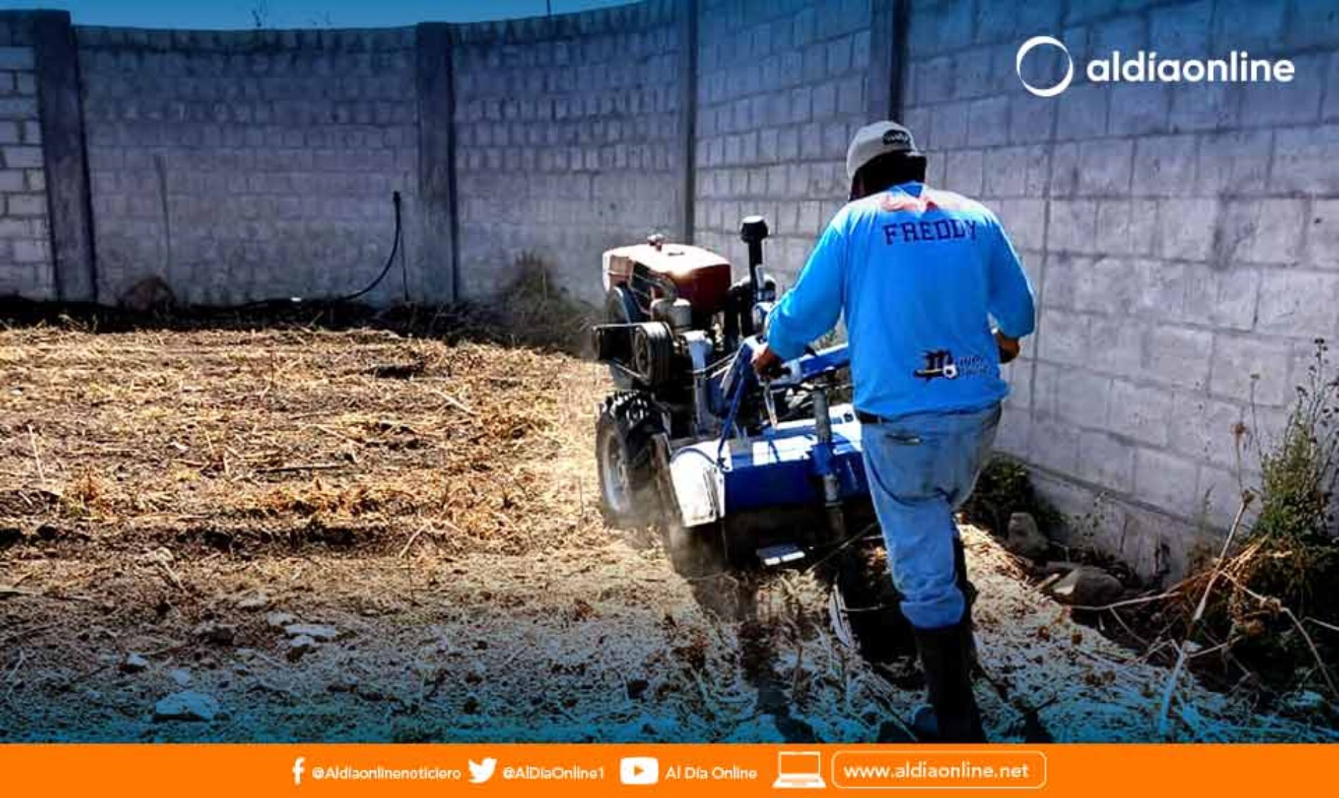 HUERTO ORGÁNICOS EN EL CENTRO DE ATENCIÓN GERIÁTRICO DE SALCEDO ES UNA REALIDAD