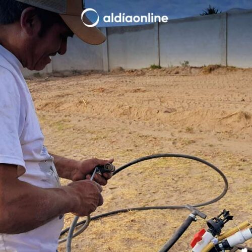 HUERTO ORGÁNICOS EN EL CENTRO DE ATENCIÓN GERIÁTRICO DE SALCEDO ES UNA REALIDAD