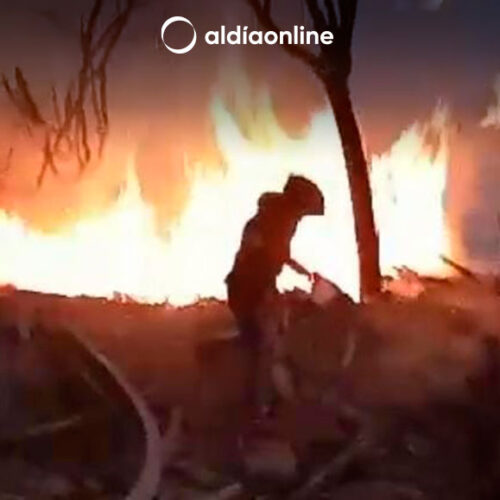 MSP ACTIVÓ EL PLAN DE CONTINGENCIA EN EL HOSPITAL DE QUITO POR INCENDIOS FORESTALES