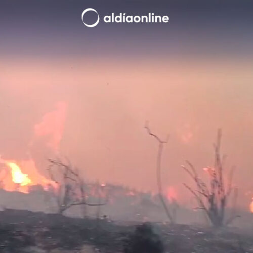 INCENDIO FORESTAL EN CUTICHINGUE FUE CONTROLADO EN UN 80% POR BOMBEROS DE LATACUNGA