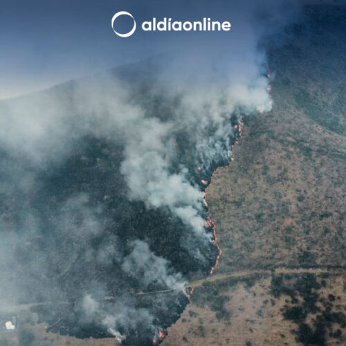 500 HECTAREA DE FLORA Y FAUNA SE CONSUMEN CON EL NUEVO INCENDIO EN YUNCUSIG.