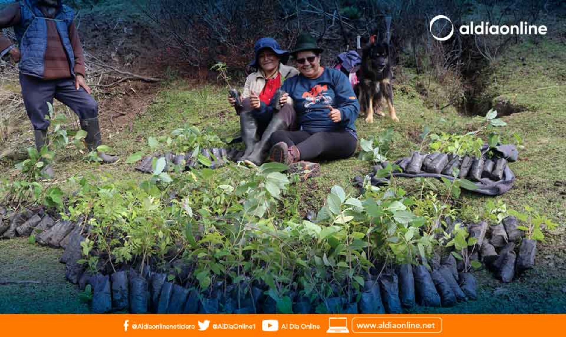 PREFECTURA DE COTOPAXI IMPULSA LA CAMPAÑA DE REFORESTACIÓN EN EL CANTÓN SIGCHOS