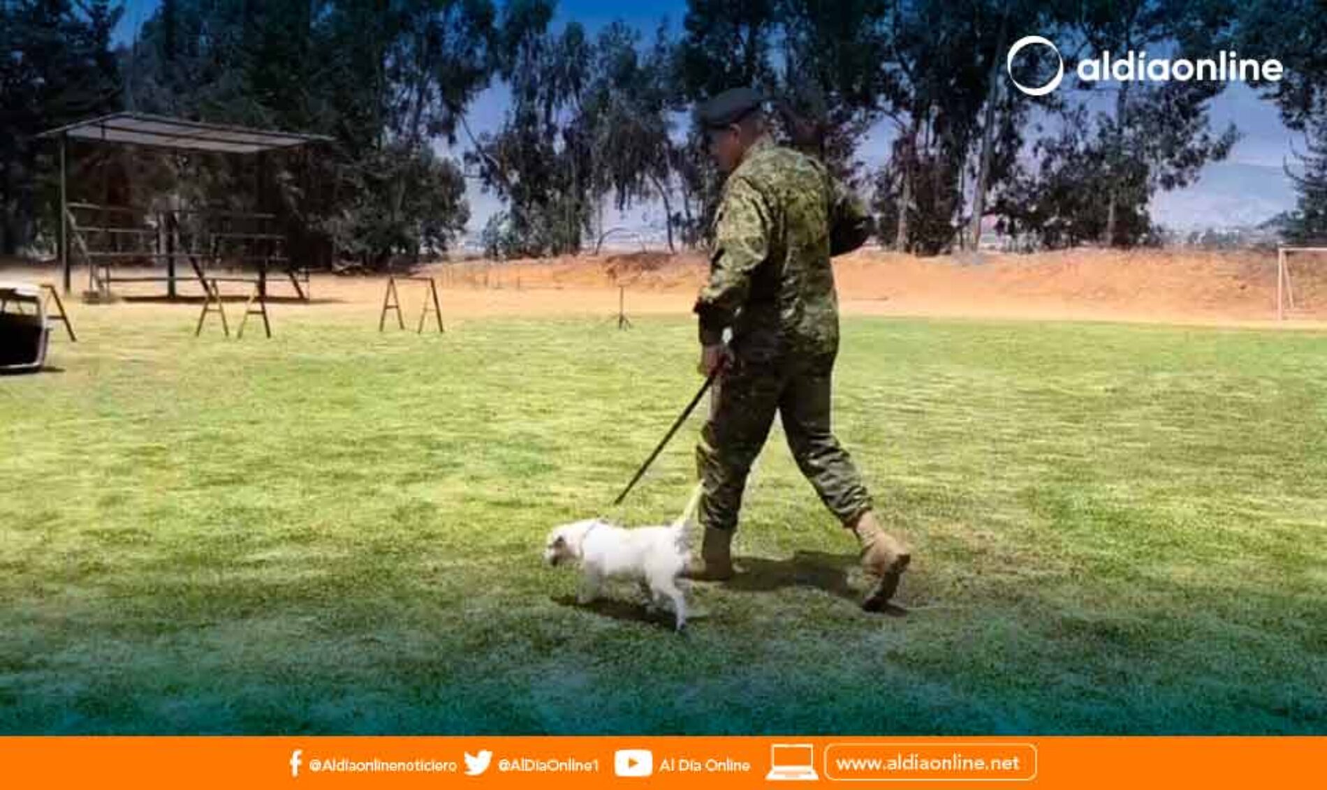 BRIGADA PATRIA REALIZA REVISTA DE COMISARIO DEL PELOTÓN CANINO