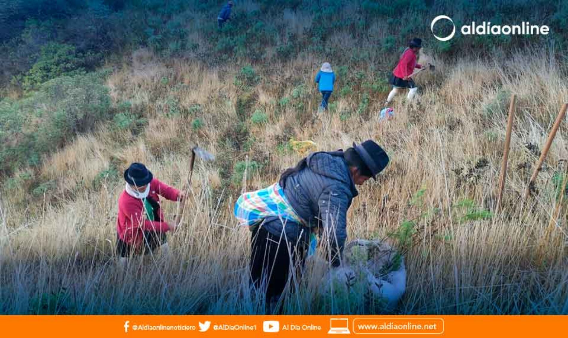 PREFECTURA DE COTOPAXI IMPULSA LA CAMPAÑA DE REFORESTACIÓN EN EL CANTÓN SIGCHOS