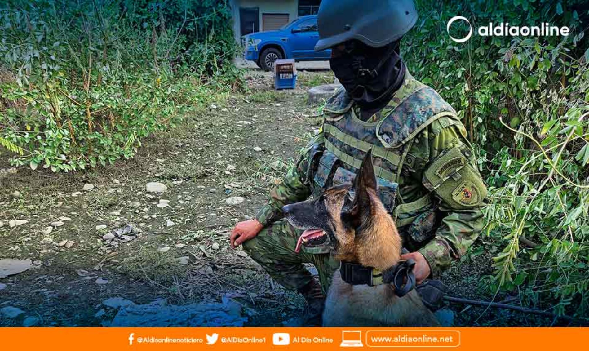 PELOTÓN CANINO DE LA BRIGADA PATRIA CONTINÚA LOCALIZANDO SCSF EN EL CANTÓN BABAHOYO