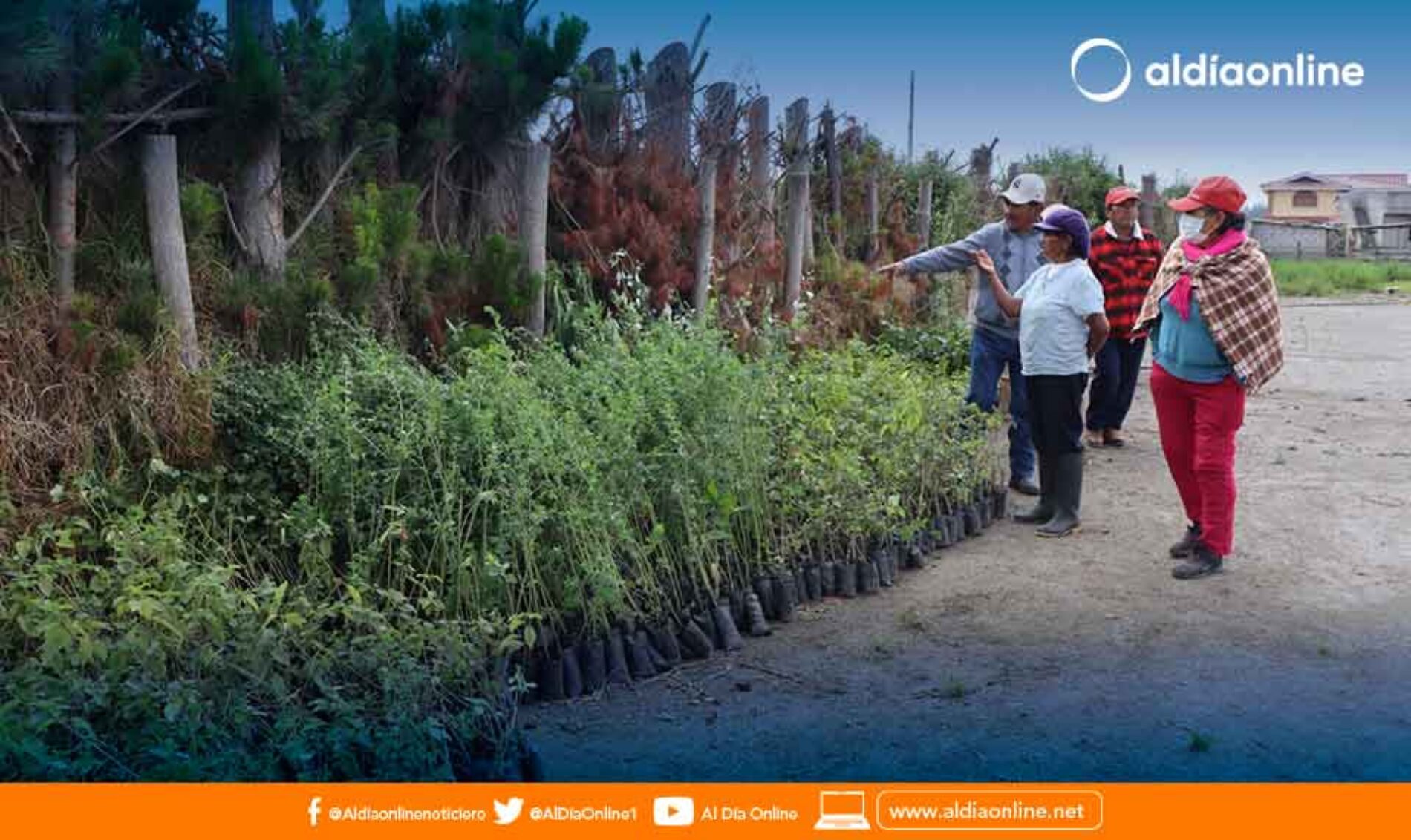 PREFECTURA DE COTOPAXI IMPULSA LA CAMPAÑA DE REFORESTACIÓN EN EL CANTÓN SIGCHOS