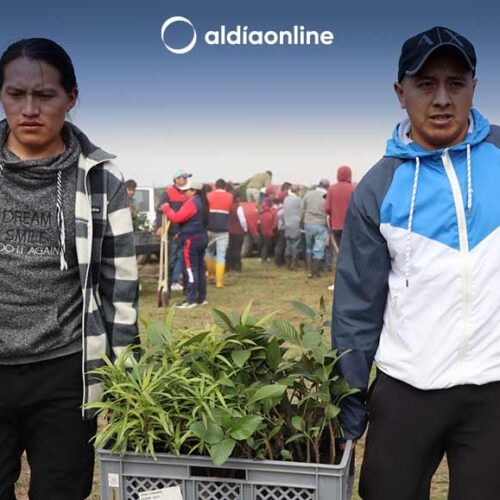 PREFECTURA DE COTOPAXI EMPRENDIÓ REFORESTACIÓN EN LA COMUNIDAD TANGÁN- SIGCHOS
