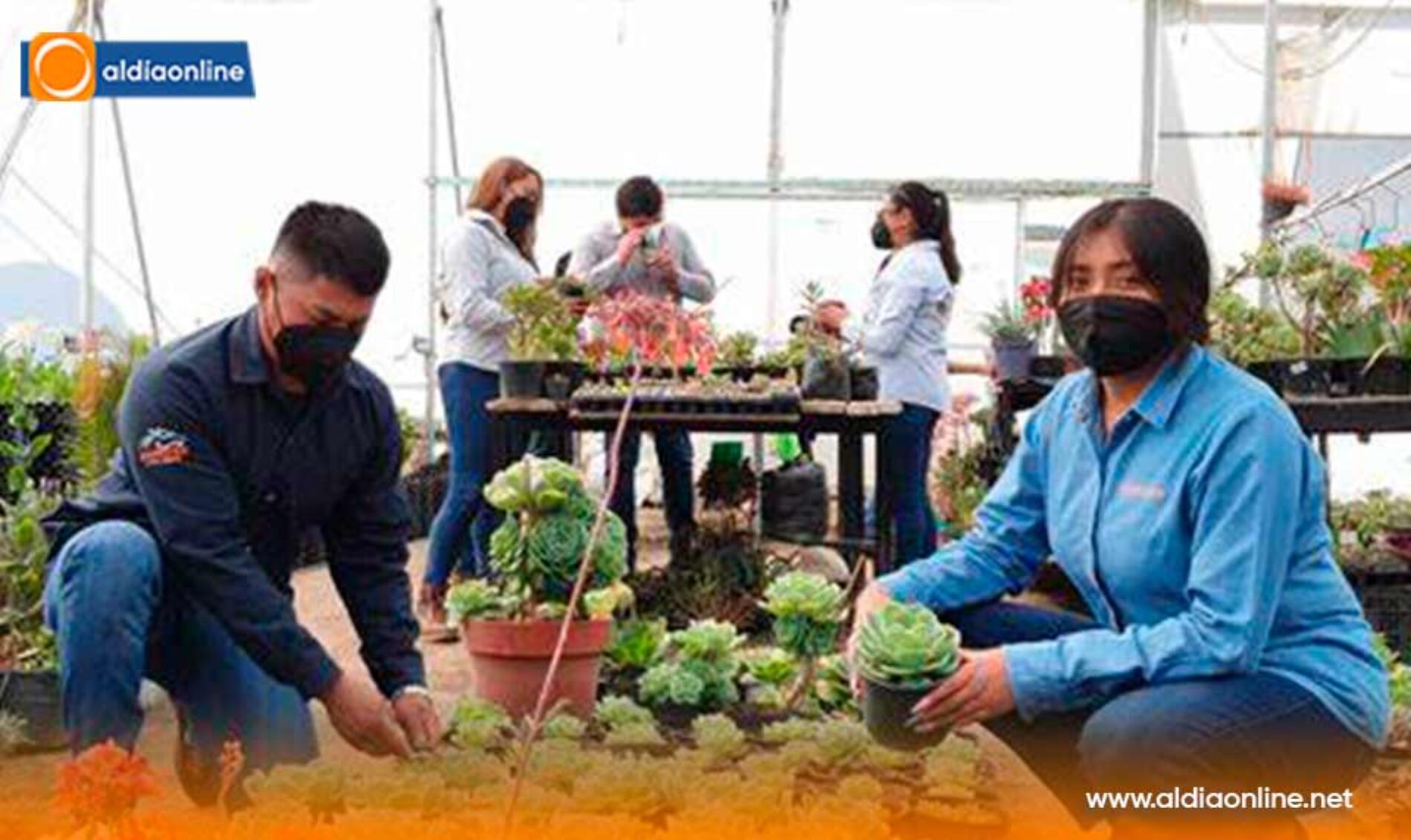 BIOFÁBRICAS: INNOVACIÓN AGRÍCOLA RENTABLE Y SOSTENIBLE