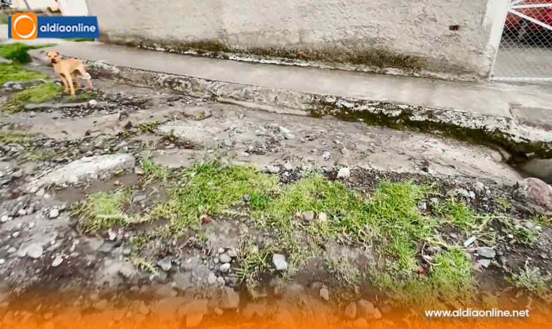 MÁS DE 300 MIL DÓLARES SE DESIGNAN PARA EL ASFALTADO DE LA VÍA PILLING, LANGUALÓ CHICO EN ALAQUEZ.