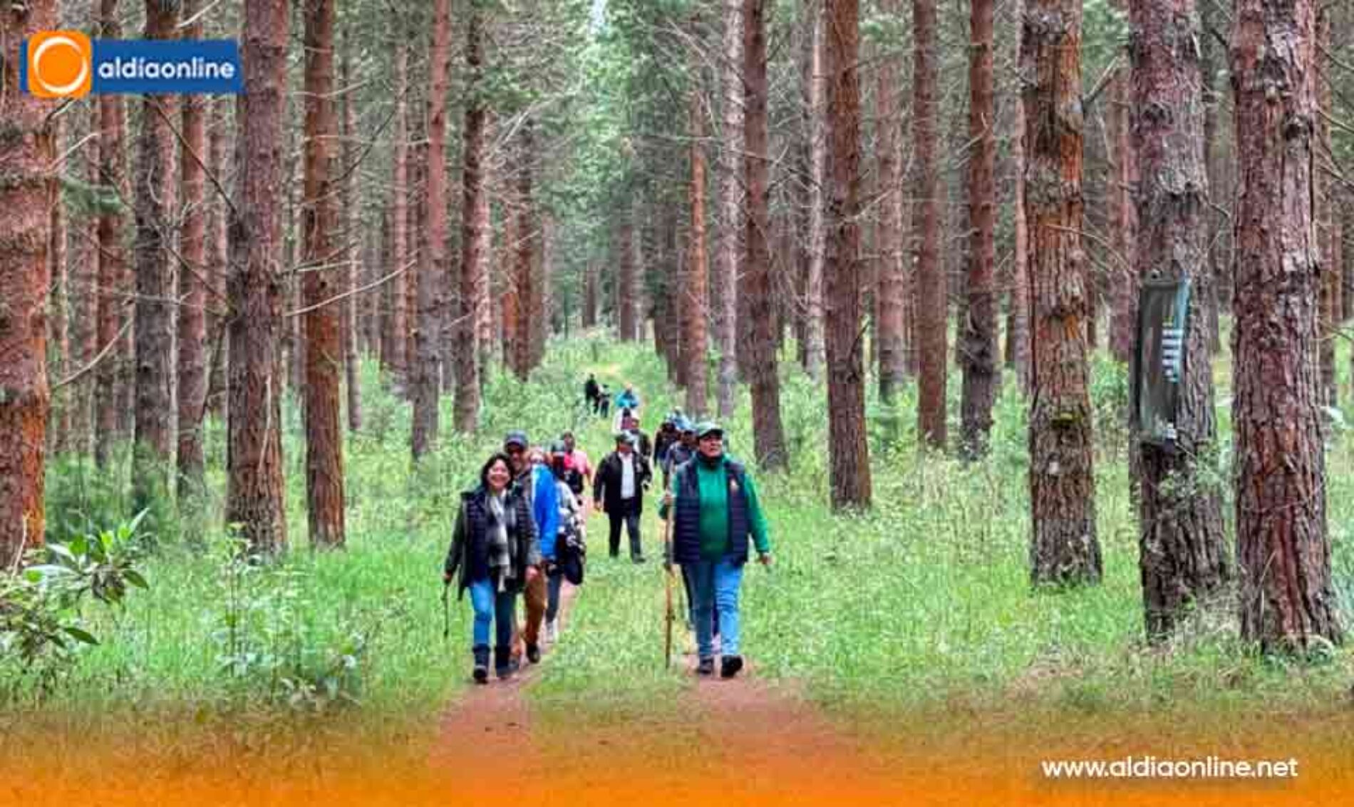 “GUARDIANES DE LOS BOSQUES” UNA INICIATIVA POR LA CONSERVACIÓN Y LA SOSTENIBILIDAD