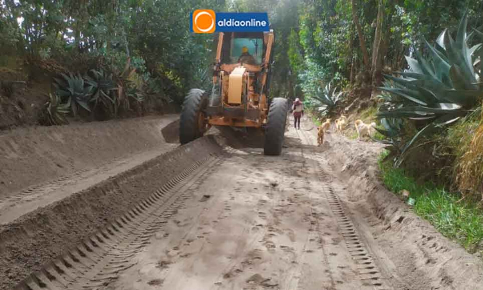 700 MIL DÓLARES EN OBRAS EJECUTA EL GOBIERNO PARROQUIAL DE TANICUCHÍ (VIDEO)