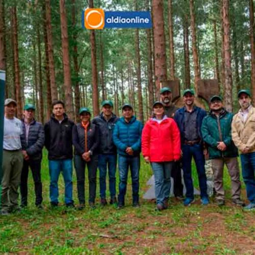 “GUARDIANES DE LOS BOSQUES” UNA INICIATIVA POR LA CONSERVACIÓN Y LA SOSTENIBILIDAD