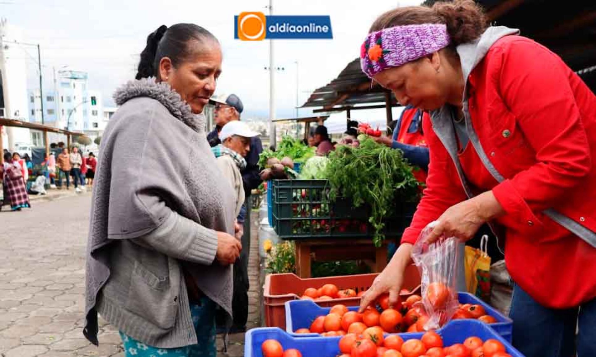 “DE LA MATA A LA OLLA” REAPERTURA DE LA FERIA AGROECOLÓGICA EN SECTOR SUR DE LATACUNGA