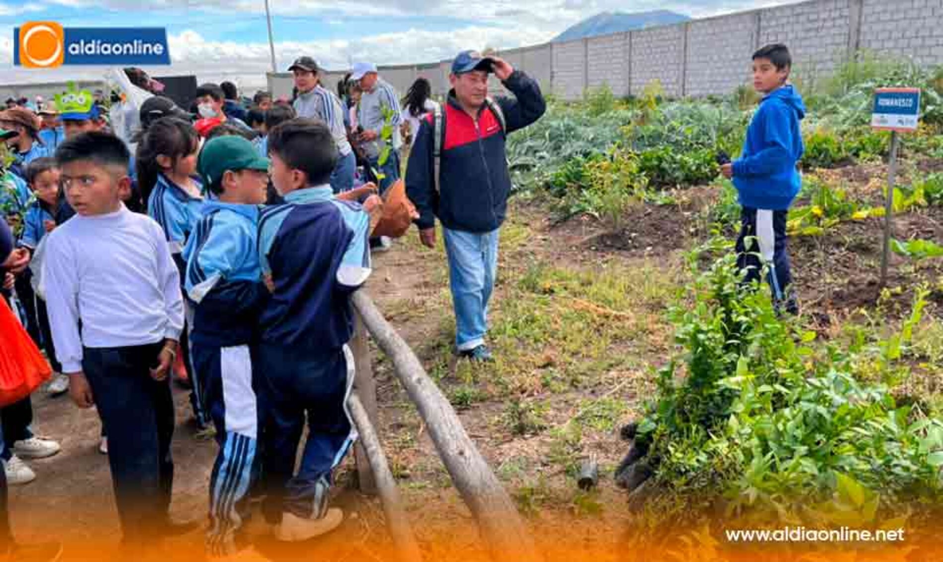 PROYECTO “RESTAURACIÓN FORESTAL” DESARROLLA PREFECTURA DE COTOPAXI EN SALCEDO