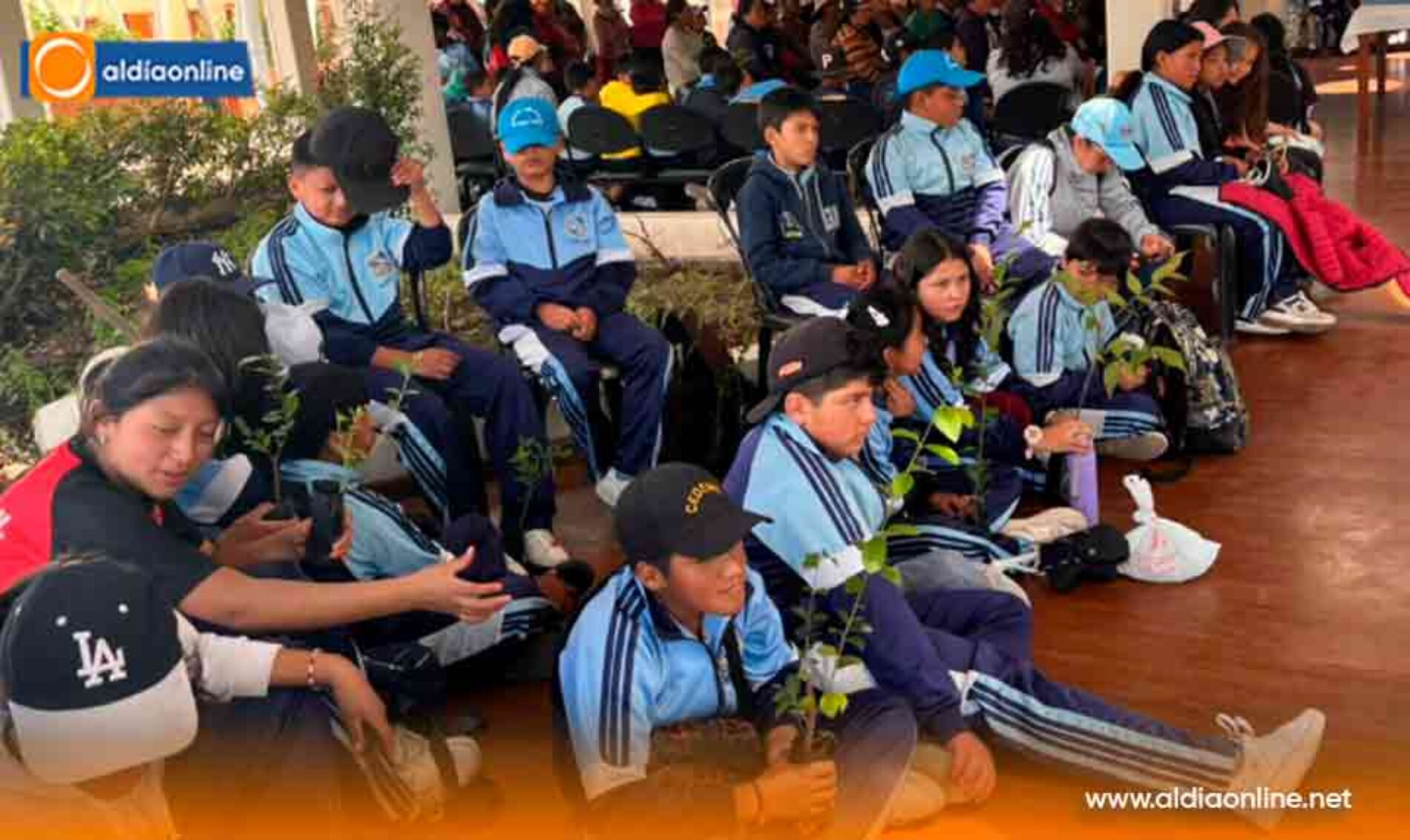 PROYECTO “RESTAURACIÓN FORESTAL” DESARROLLA PREFECTURA DE COTOPAXI EN SALCEDO