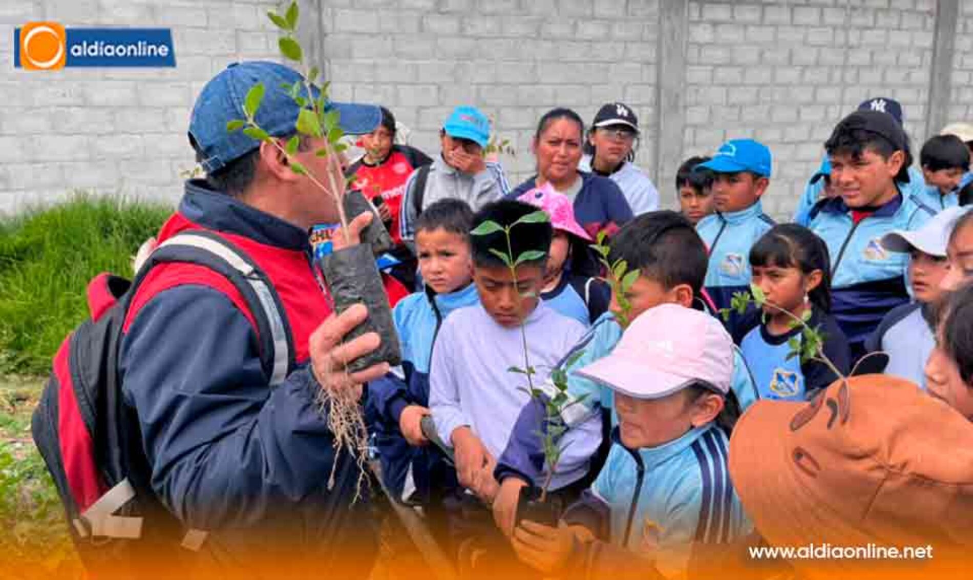 PROYECTO “RESTAURACIÓN FORESTAL” DESARROLLA PREFECTURA DE COTOPAXI EN SALCEDO