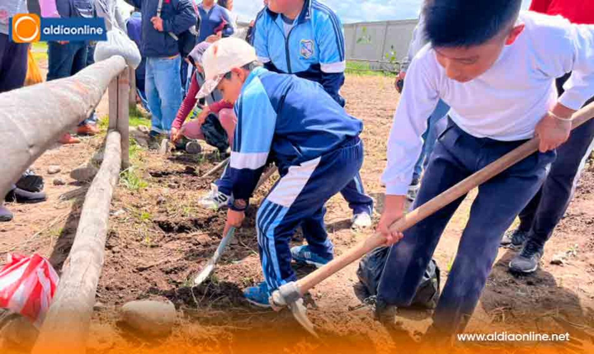 PROYECTO “RESTAURACIÓN FORESTAL” DESARROLLA PREFECTURA DE COTOPAXI EN SALCEDO