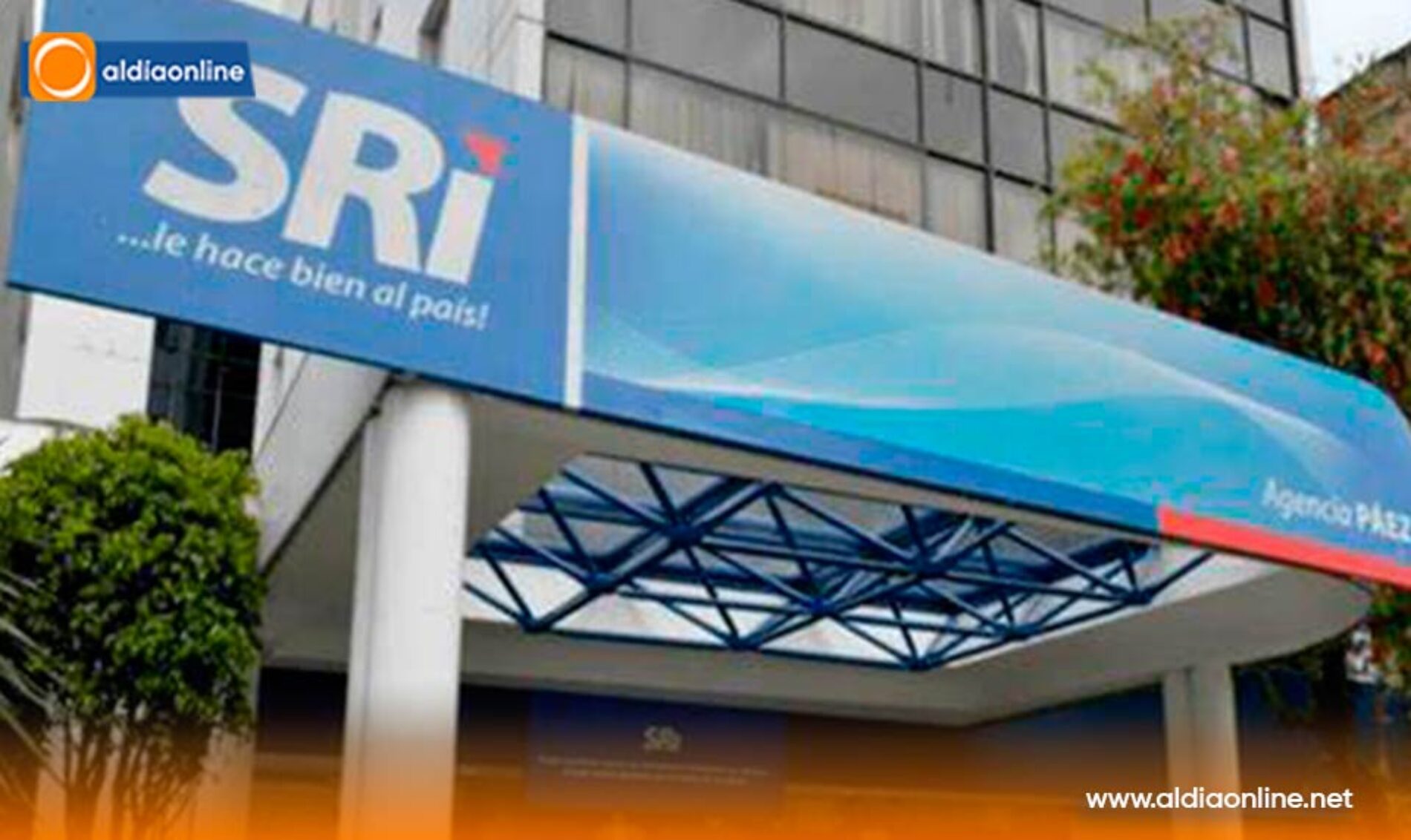 12 DE LOS  16 PRINCIPALES SECTORES ECONÓMICOS DEL PAÍS REGISTRAN CRECIMIENTO EN VENTAS