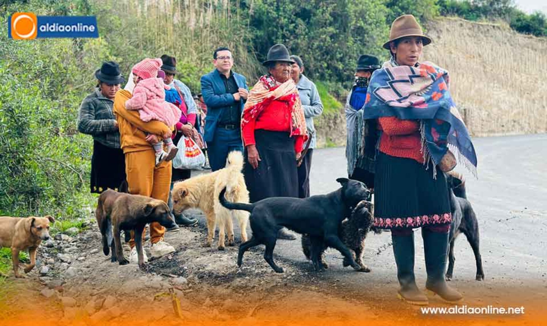 PREFECTURA DE COTOPAXI SOLICITA EVALUACIÓN TÉCNICA TRAS FISURAS EN LA VÍA LA GLORIA – CUTURIVÍ CHICO DEL CANTÓN PUJILÍ