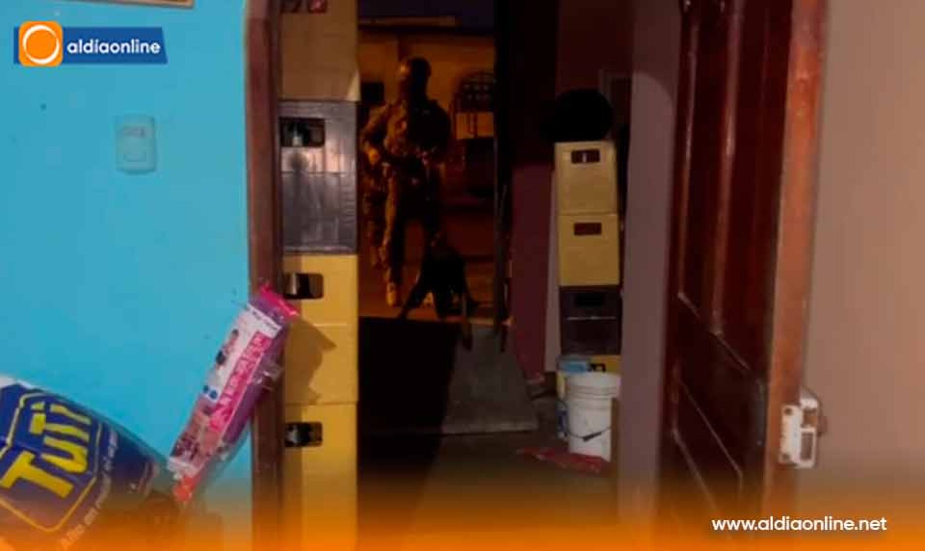 OPERACIÓN MILITAR MASIFICADA LOGRA LA APREHENSIÓN DE UN SUJETO Y DECOMISO DE ARMAMENTO EN QUEVEDO
