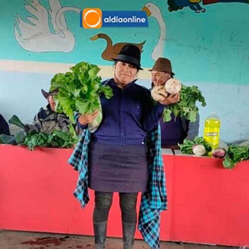 SAQUISILÍ CELEBRA EL INICIO DE COSECHA DE HUERTOS FAMILIARES EN CENTROS DE ATENCIÓN AL ADULTO MAYOR Y PERSONAS CON DISCAPACIDAD