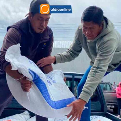 MAG IMPULSA LA PRODUCTIVIDAD AGRÍCOLA EN COTOPAXI CON CASI 1.400 SACOS DE FERTILIZANTES FOSFATADOS