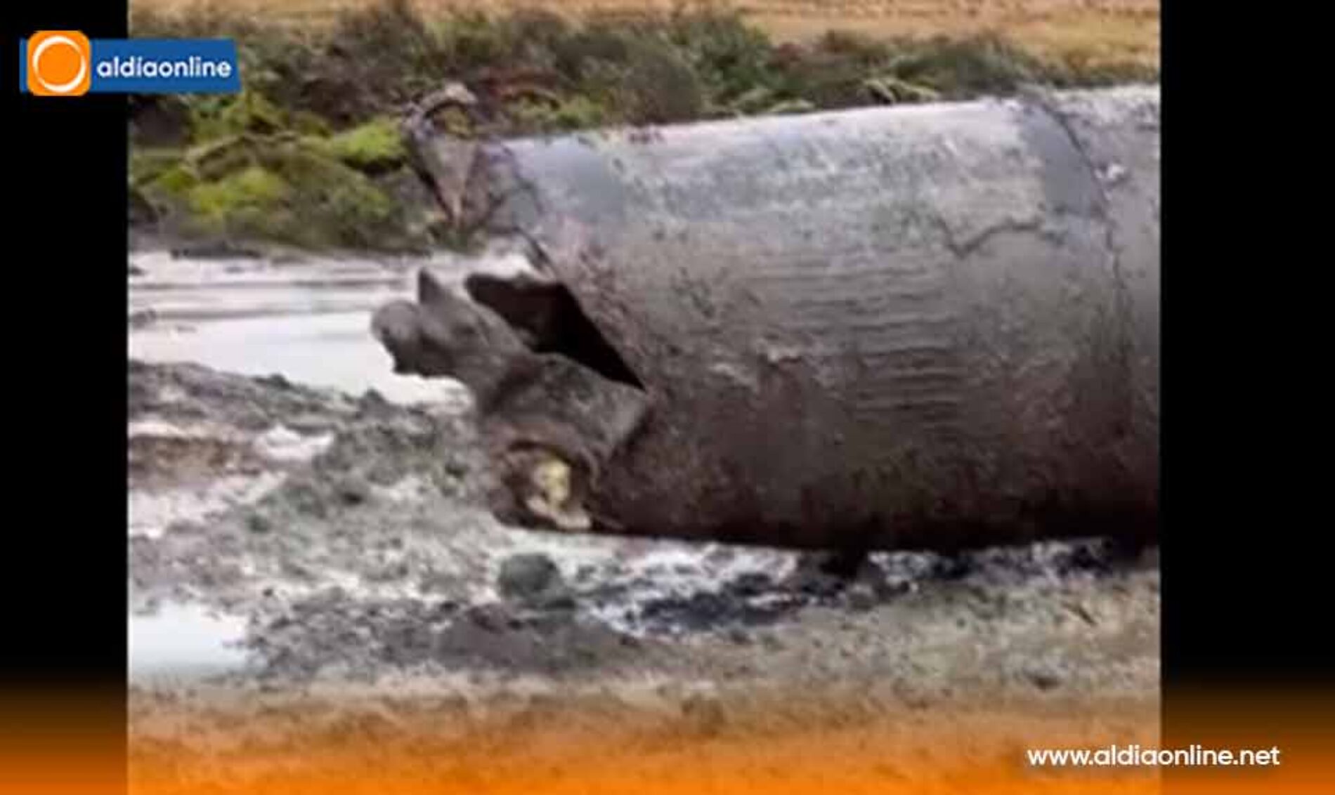 EL SUR DE QUITO SIGUE ESPERANDO POR AGUA; TRABAJOS EN LA MICA TIENEN 87% DE AVANCE