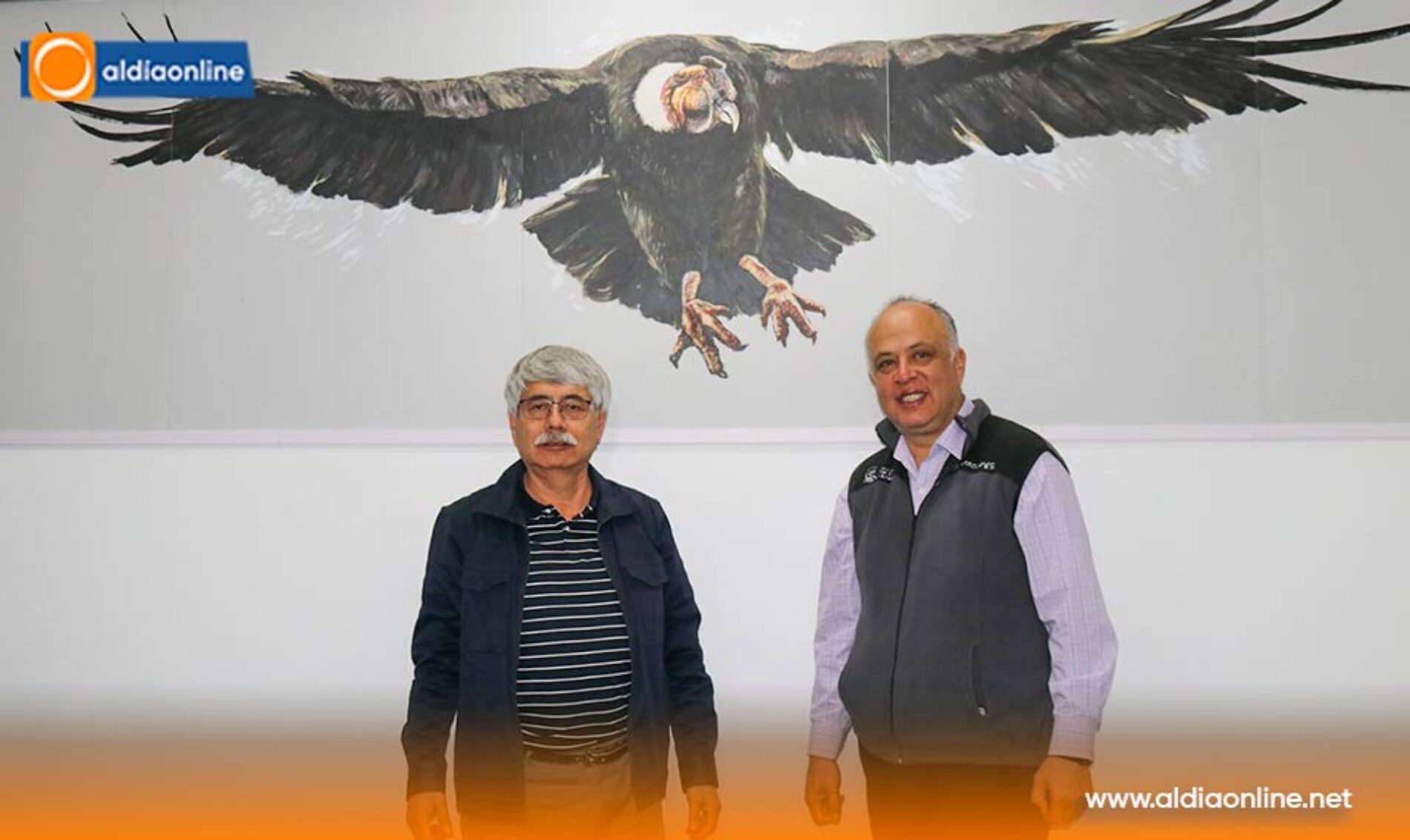LATACUNGA CELEBRA EL DÍA NACIONAL DEL CÓNDOR ANDINO CON MUESTRA DE ARTE EN EL CENTRO CULTURAL CASA DE LOS MARQUESES.(VIDEO)
