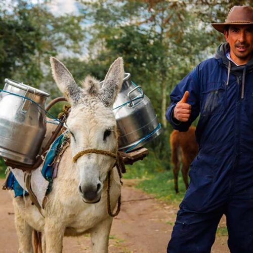 MAG REALIZA OPERATIVOS DE CONTROL DE CENTROS DE ACOPIO PARA CONTROLAR EL PRECIO DE LA LECHE