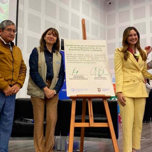 MAG PROMUEVE ENTORNOS PROPICIOS PARA EL DESARROLLO RURAL MEDIANTE COOPERATIVAS AGRÍCOLAS