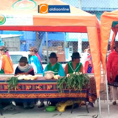 FERIA “DE LA MATA A LA OLLA” PROYECTO DE LA PREFECTURA DE COTOPAXI SE INAUGURÓ EN EL CANTÓN PUJILÍ (VIDEO)