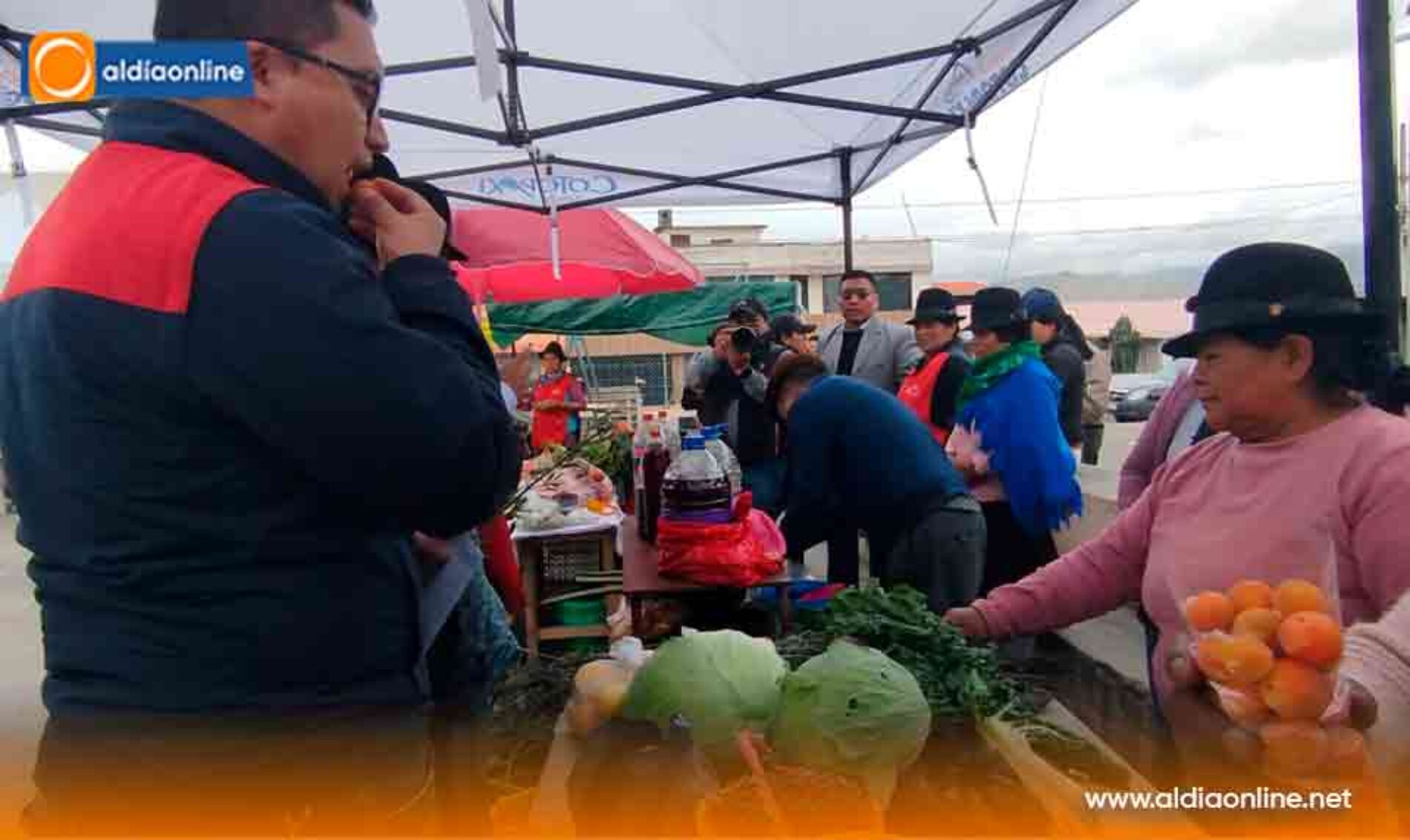 FERIA “DE LA MATA A LA OLLA” PROYECTO DE LA PREFECTURA DE COTOPAXI SE INAUGURÓ EN EL CANTÓN PUJILÍ (VIDEO)